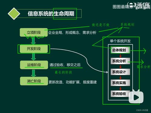 系统分析师 软件工程