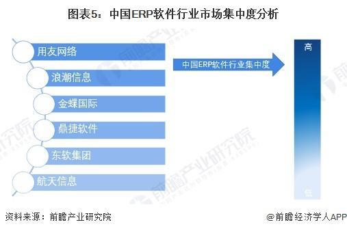 2025 2030年中国erp软件龙头企业软件业务布局分析
