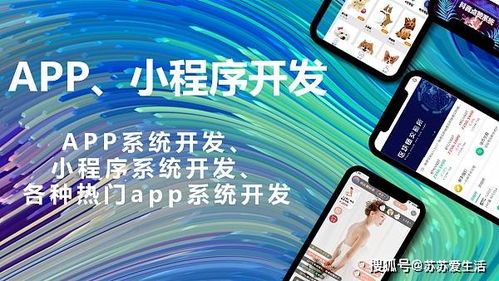 软件定制开发对企业有哪些好处 软件定制开发丨商城系统开发