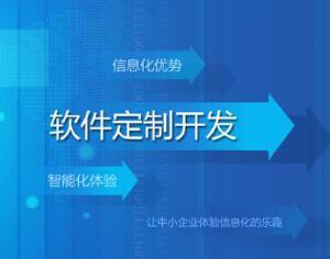 软件系统定制开发