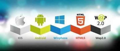 运营软件 app定制开发