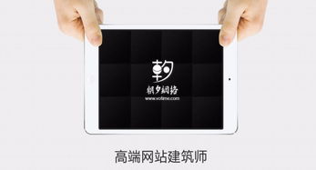 高端品牌网站与系统软件开发定制解决方案