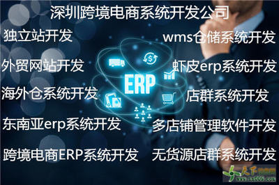 WMS仓储系统开发与定制 构建智慧物流的核心引擎